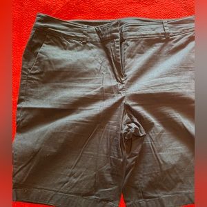 Ann Taylor Blue Curvy Bermuda Shorts